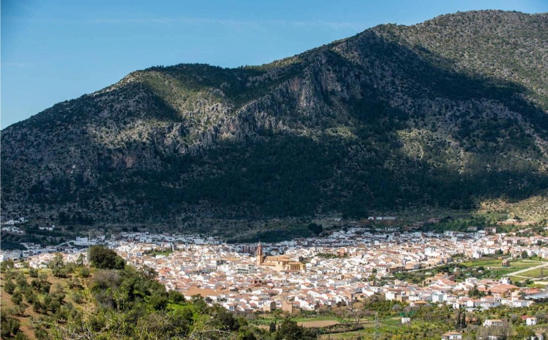 Casa Apartamento Terrazas De Алгодоналес Екстериор снимка